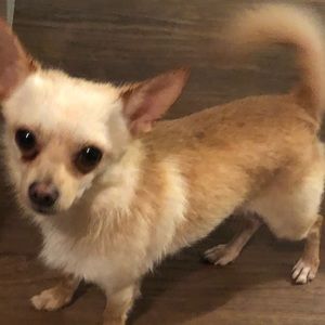 Meet your Posher, Adria